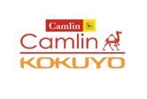 camlin– Everest Holovisions client