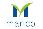 marico– Everest Holovisions client